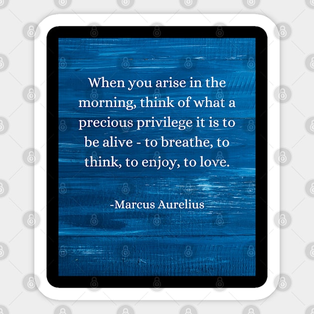 Marcus Aurelius: Morning Privilege, Embrace Life's Beauty Sticker by Dose of Philosophy